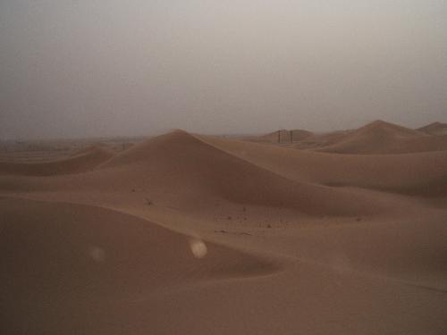 uae  - Desert sand dunes in uae.
