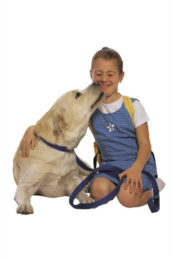 Dog Kisses - A dog giving kisses to a little girl.