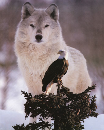 Loving Nature - How wonderful