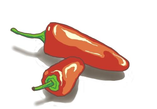 chilly - do you like spicy food?