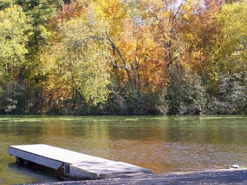 Fall in Wisconsin - This is my back yard in beautiful WI.