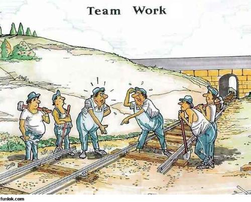 team work - see what happens there is no unity in team