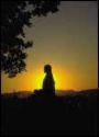 meditate - a person meditationg