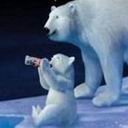 Coke NO ice Please - Photo of a mother polar bear and her cub drinking a coke