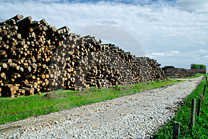 road - timberstock road