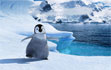 Happy Feet - In the great nation of Emperor Penguins,deep in Antartica,you've nobody unless you can sing which is unfortunate for Mumble,who is the worst singer in the world.
