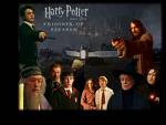 harry potter - a book for kids and adults.great scenario.harry is the idol of the little ones