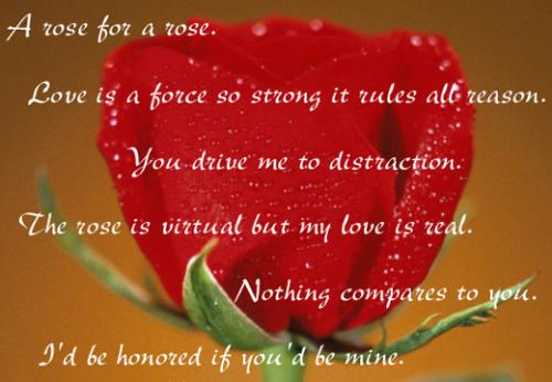 Romantic - A rose for a rose,
Love is a force so strong it rules all.
You drive me to distraction,
Nothing compares to you.
I&#039;d be honoured if you&#039;d be mine
