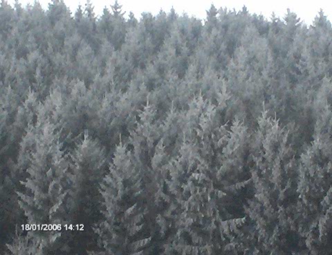 nature - muntii nostri aur poarta noi cerim din poarta-n poarta