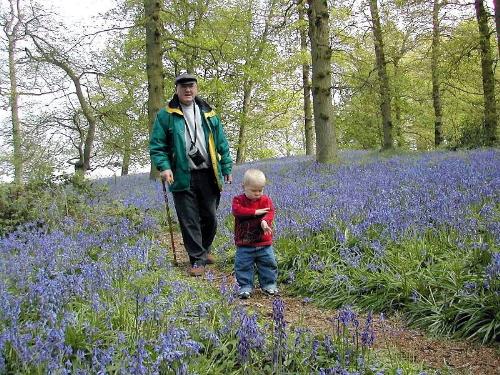Grandad and Elliot   - Taken in the bluebell woods near to our home.