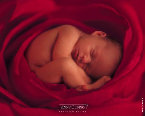 red baby - nice picture