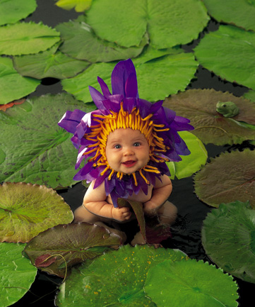 water lily baby - water baby