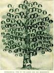 Family Tree! - Is blood truly thicker than water?
