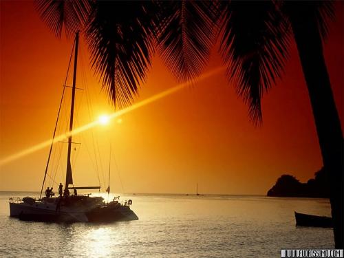 the sunset  - setting of the sun
