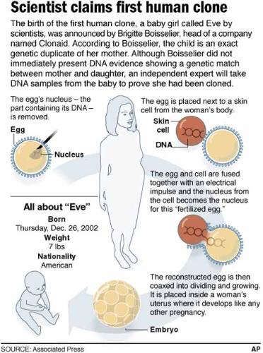 human cloning - this are the sample or image of plan of human cloning