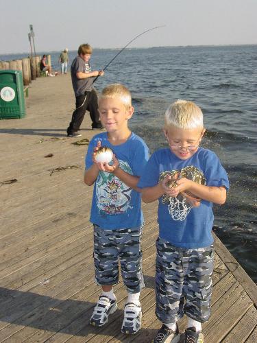 all three w/puffer fish - This is my 3 sons puffer fishing.  We had a great time that day!