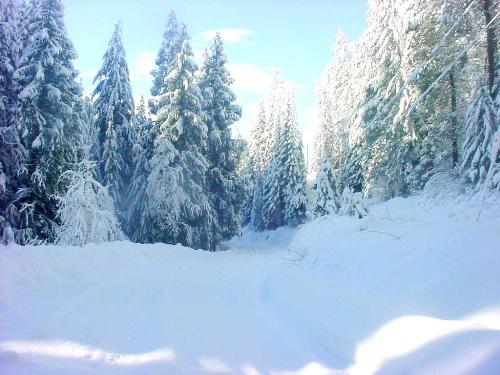 Winter deep snows - Mountain Spokane area, Washington State. Winter 2006-07