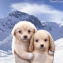 A friend photo - cute partners