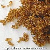 brown sugar - brown sugar is made by addinf molassese to white sugar