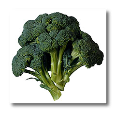Broccoli - Broccoli... try it in a salad!