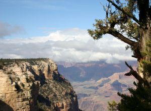Grand Canyon - One of nature's wonders, the Grand Canyon is an awesome sight to behold.