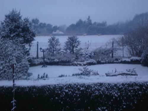 Snow Scene This Morning 24/01/2006 - This was taken from my living room window this morning, showing the garden and field beyond, blanketed in snow.