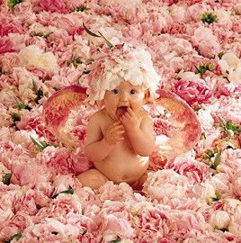 baby - cute baby