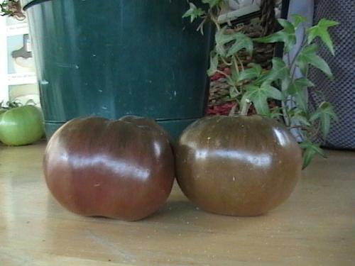Black Tomatoes - I grew these this past summer in our garden.
