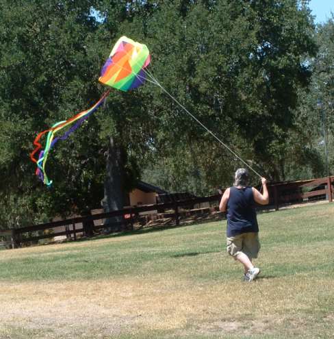 kite flying - kite flying is indeed an interesting sport