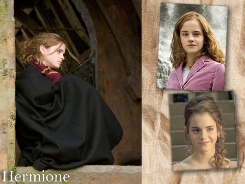 Emma Watson-Hermione Granger - Emma Watson plays the character Hermione Granger in the Harry Potter fil series.She is the female lead in the series.Hermione is a smart,intelligent,brave and loyal girl.She is one of the best friends of Harry.She is very studious and sincere in her studies.She cares very much about her friends and respects teachers very much.