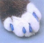 Soft Paws - These are nail caps that goes on your cats or dogs nails to help protect furniture or hardwood floors.