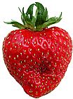 Strawberry - Try strawberries in a salad Strawberry - Try strawberries in a salad