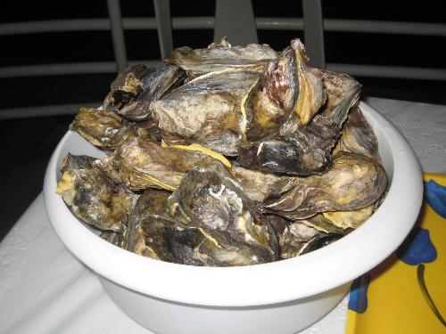 Oysters - Fresh oysters ready to be grilled!! Yummy!