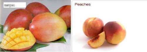 mangoes and peaches - mangoes and peaches.