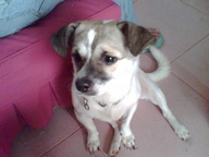 Paggy - Another good shot... Cute he is...