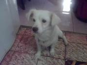 Pooh 2 - Another Pooh pix! Cool...
