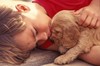 Mans best friend!  - A man and a dog will always be best of friends.