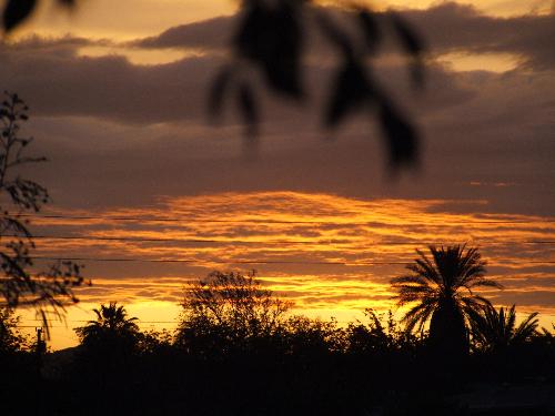 Desert Sunset - Sunset at home after rainfall.
