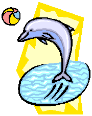 Dolphin - Playful dolphin