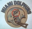 Miami Dolphins - In 1972 the Dolphins completed the NFL's first and only perfect season, winning every regular season game, two playoff games and Super Bowl VII, defeating the Washington Redskins 14-7. (The 1948 Cleveland Browns had accomplished an undefeated season, but as members of the All-America Football Conference.) During this season, Griese fell victim to a broken ankle in Week 5 versus the San Diego Chargers and was replaced by Earl Morrall for the rest of the regular season, with Griese returning to the field as a substitute during the AFC Championship game versus the Pittsburgh Steelers and would once again start for Miami in Super Bowl VII.
