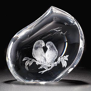 love birds - lovable birds