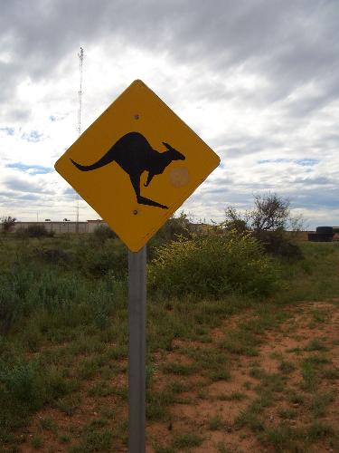 kangaroo sign - a kangaroo sign along the road in Exmouth, western Australia.