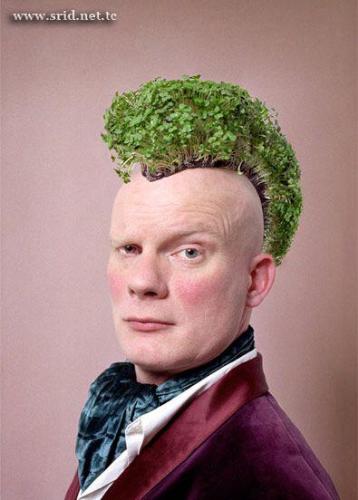 Dont worry about baldness - Dont think about the stuuf outside the head, think about the stuff inside the head