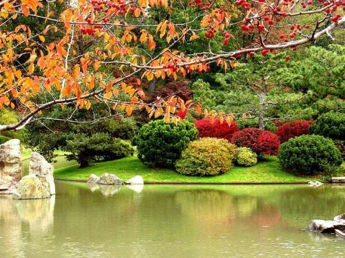 pune - pune garden , cool place