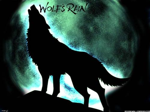 wolfs rain, a wolf to cry forever - waiting for the promise land... wolfs rain, a wolf to cry forever - waiting for the promise land...