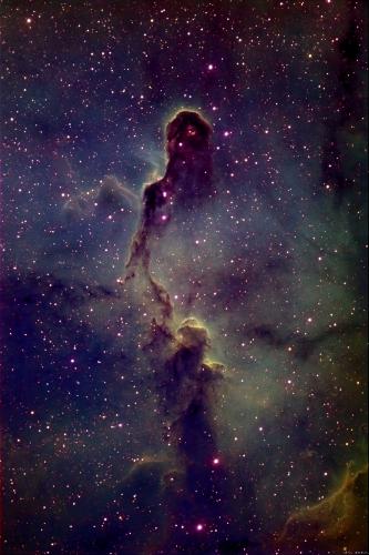 ic1396 - photo of nebula "IC1396"