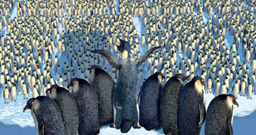 Happy gathering - This a picture from the movie called Happy Feet... & this picture is taken from yahoo.com movies...