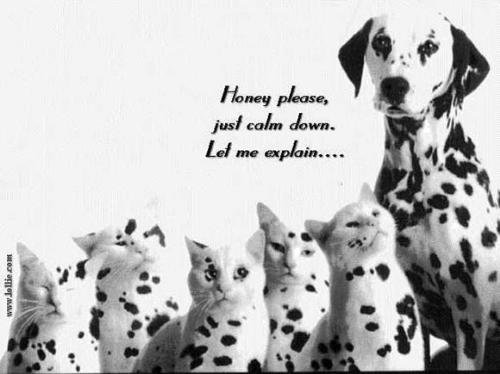 A new meaning of 'in-bred' - This photo always brings a smile to my face!
