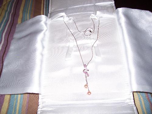 Necklace - The necklace my fiance sent me