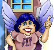 FlyLady - Here are the flylady :)